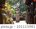 高貴な、庭。 101113981