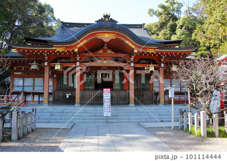 京都　長岡京市　長岡天満宮　本殿 101114444