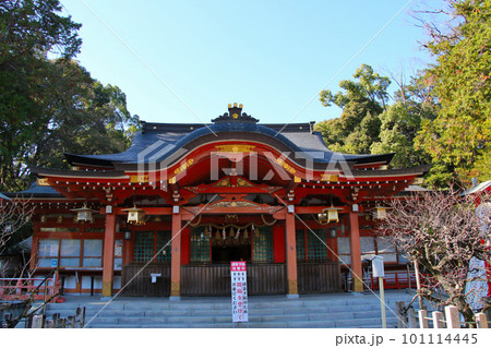 京都 長岡京市 長岡天満宮 本殿 京都 長岡京市 長岡天満宮 本殿 101114445