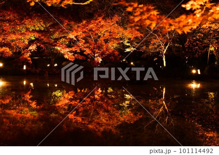 水面に映る紅葉 101114492