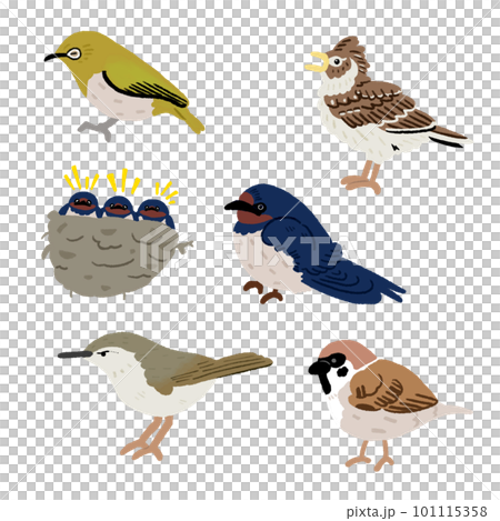 Simple and cute spring bird illustration set Simple and cute spring bird illustration set 101115358