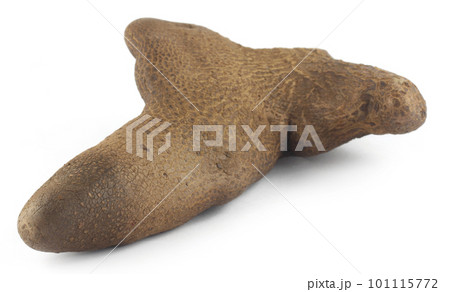 Air potato 101115772