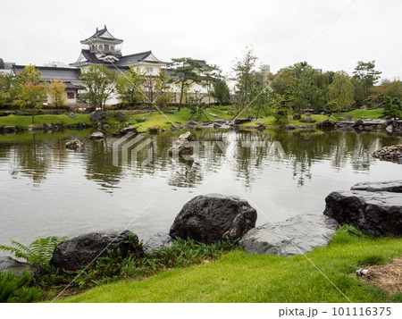Traditional Japanese garden with pond and white castle in Toyama, Japan 101116375