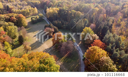 Flying over trees with yellow and green leaves in a park with dirt paths and people walking on a sunny autumn day. Aerial drone view. Top view. Forest wood woodland nature natural sunlight sunshine. Flying over trees with yellow and green leaves in a park with dirt paths and people walking on a sunny autumn day. Aerial drone view. Top view. Forest wood woodland nature natural sunlight sunshine. 101116668