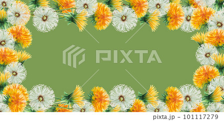 Watercolor frame of dandelions flowers and green leaves. Hand painting clipart botanical meadow illustration on a white isolated background. For designers, decoration, postcards, wrapping paper Watercolor frame of dandelions flowers and green leaves. Hand painting clipart botanical meadow illustration on a white isolated background. For designers, decoration, postcards, wrapping paper 101117279