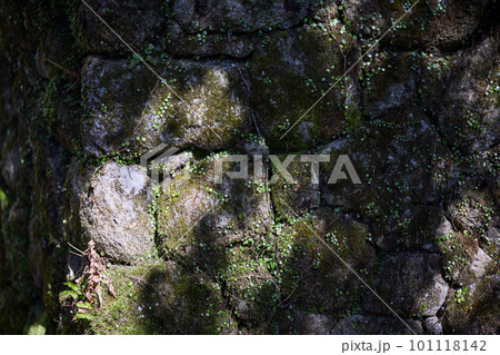 苔の付いた石垣 101118142