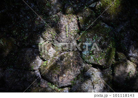 苔の付いた石垣 101118143