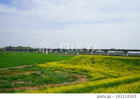 4467 春の圏央道 4467 春の圏央道 101118503