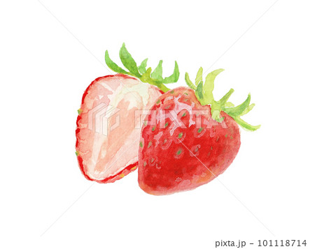 水彩絵の具で描いたシンプルなイチゴイラスト 水彩絵の具で描いたシンプルなイチゴイラスト 101118714