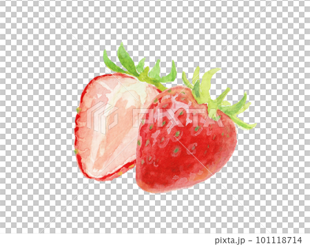 水彩絵の具で描いたシンプルなイチゴイラスト 水彩絵の具で描いたシンプルなイチゴイラスト 101118714