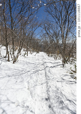 栃木県那須岳の残雪期 登山道の風景 101118887