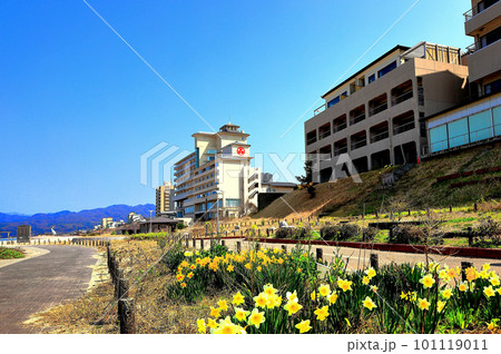 瀬波温泉街満喫 101119011