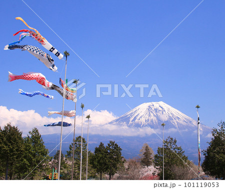 富士宮市　富士山と鯉のぼり 101119053