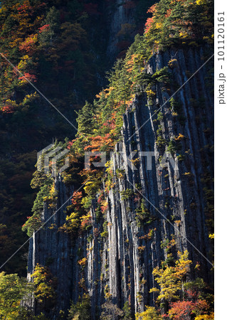 長野県・秋山郷　紅葉に染まる迫力のある柱状節理の岩壁 101120161