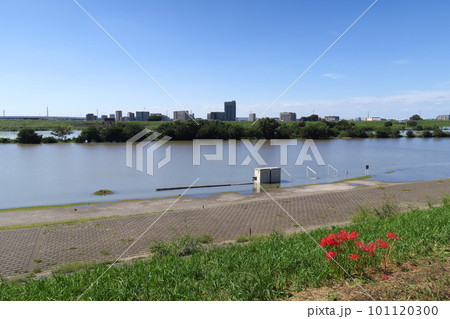 台風一過の翌朝のサッカー場のある冠水した江戸川河川敷風景 台風一過の翌朝のサッカー場のある冠水した江戸川河川敷風景 101120300