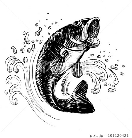 Bass Fish Jumping Drawing