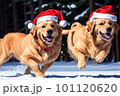 Golden Retriever dog in christmas hat running in the snow,generative ai 101120620