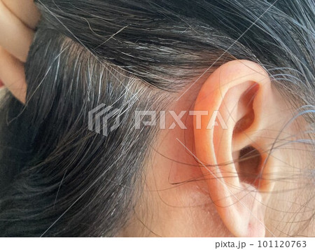 白髪染め8　耳のうしろ 101120763