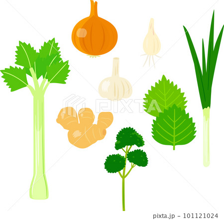 香味野菜のイラストセット 101121024