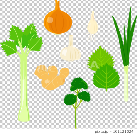 香味野菜のイラストセット 101121024