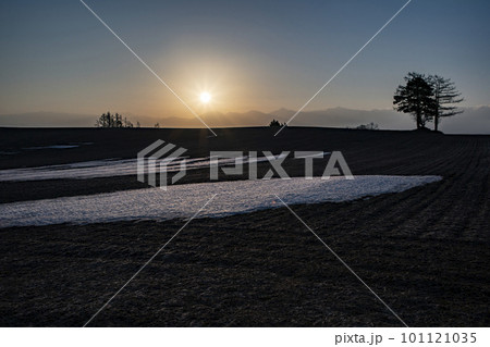 夜明け前の田園 夜明け前の田園 101121035