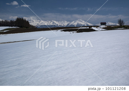 早春の十勝岳連峰 101121208