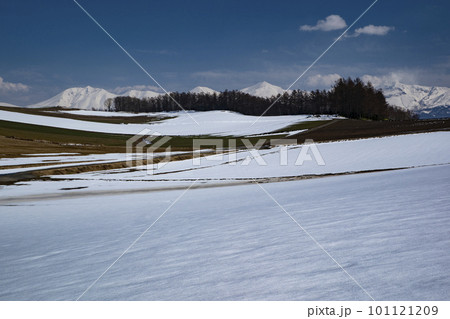 早春の十勝岳連峰 早春の十勝岳連峰 101121209