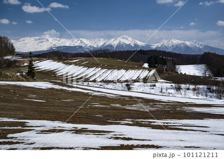 早春の十勝岳連峰 101121211
