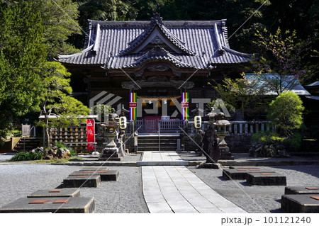白浜神社(伊古奈比咩命神社)静岡県下田市白浜 白浜神社(伊古奈比咩命神社)静岡県下田市白浜 101121240