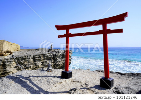 白浜海岸　白浜神社（伊古奈比咩命神社）静岡県下田市白浜 101121246