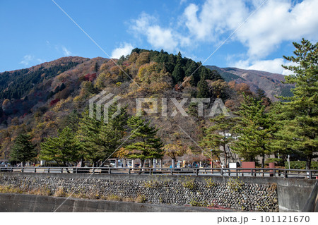 奥多摩の紅葉 奥多摩の紅葉 101121670