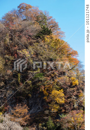 奥多摩の紅葉 奥多摩の紅葉 101121748