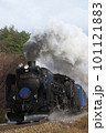 白煙を上げて走るSL銀河 101121883