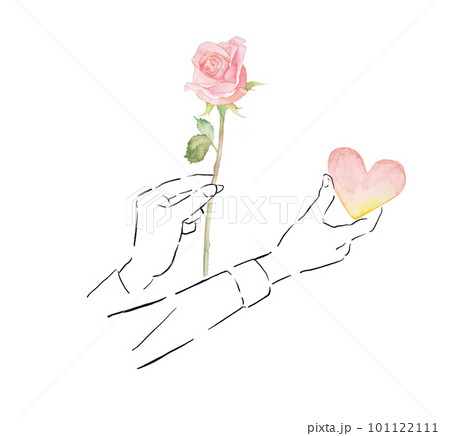 バラの花を持ってプロポーズする挿絵イラストのイラスト素材