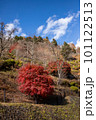 奥多摩の紅葉 奥多摩の紅葉 101122513