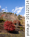 奥多摩の紅葉 奥多摩の紅葉 101122514