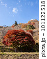 奥多摩の紅葉 奥多摩の紅葉 101122518