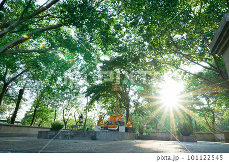 タイ、バンコク、ベンジャキティ公園内で撮影した夕景 タイ、バンコク、ベンジャキティ公園内で撮影した夕景 101122545
