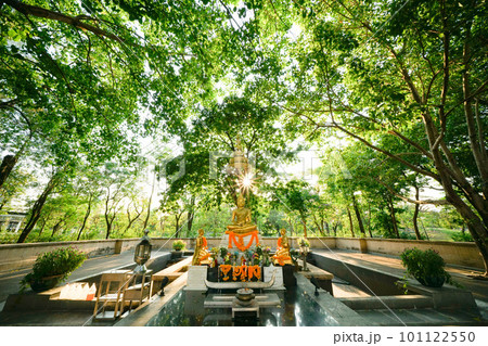 Beautiful Buddha Statue in Benjakitti park in BKK 101122550