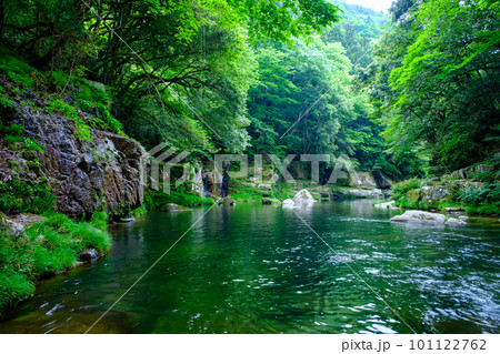 新緑の奥津渓 101122762