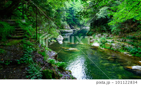 新緑の奥津渓 101122834