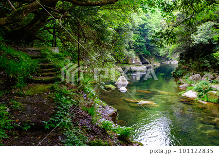 新緑の奥津渓 101122835