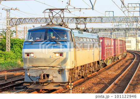 朝日を浴びながら枇杷島駅付近を走るEF66牽引の貨物列車 101122946