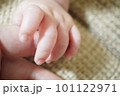 大人の手を握る赤ちゃんの手 101122971