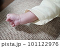 手を握っている新生児の写真（顔なし） 101122976