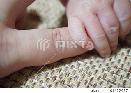 大人の指を握る赤ちゃんの手の写真 大人の指を握る赤ちゃんの手の写真 101122977