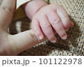 大人の指を握る赤ちゃんの手の写真 101122978