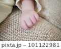 可愛い赤ちゃんの手の写真 101122981