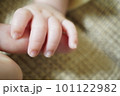 大人の指を握っている赤ちゃんの手 101122982