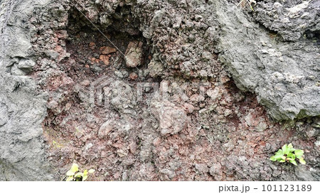 長崎県壱岐島にある初瀬の岩脈の岩肌 101123189